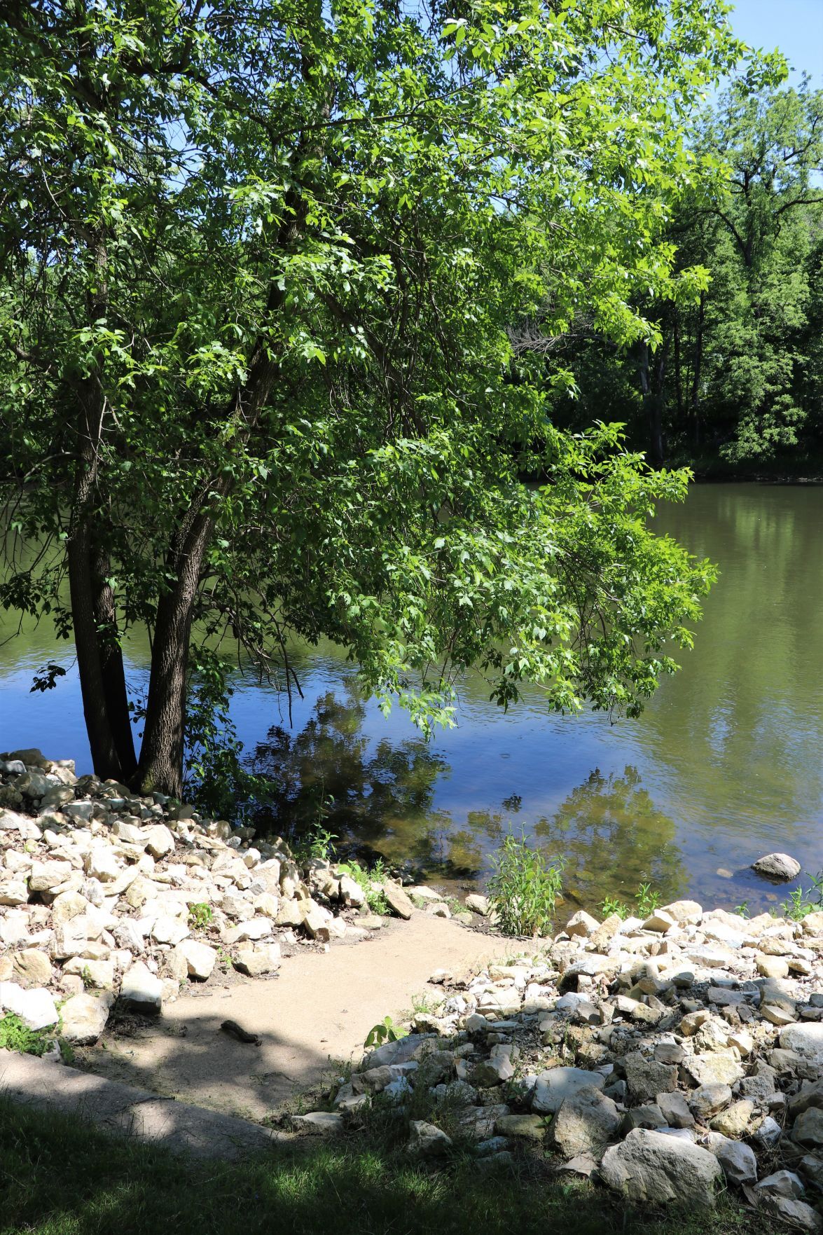 Canoe access at Spring Park